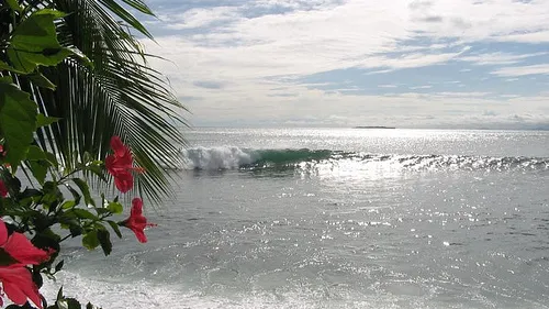 panama surf emily peeling