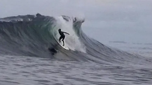 panama surf nestles drop