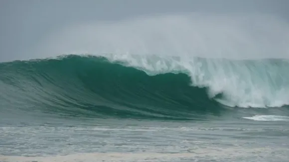 panama surf nestles